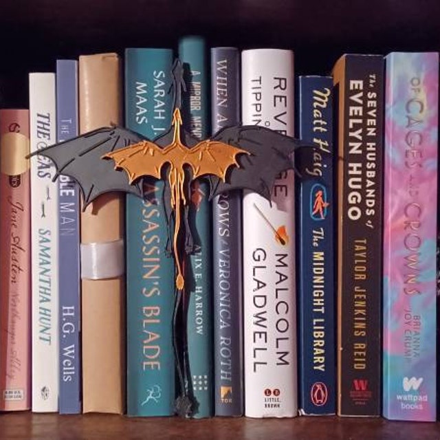 🐉📕Fourth Wing Double Dragon BOOK INSERT