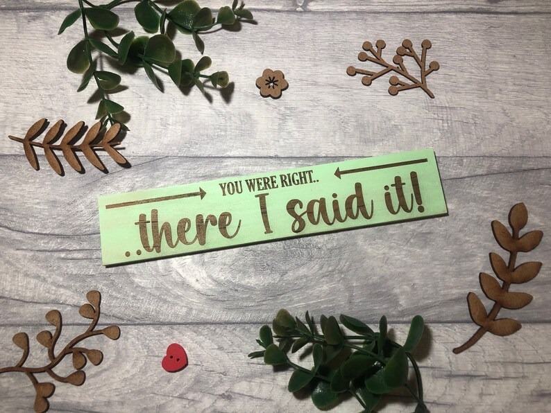 🤣Funny Wooden Sign - No Stupid People