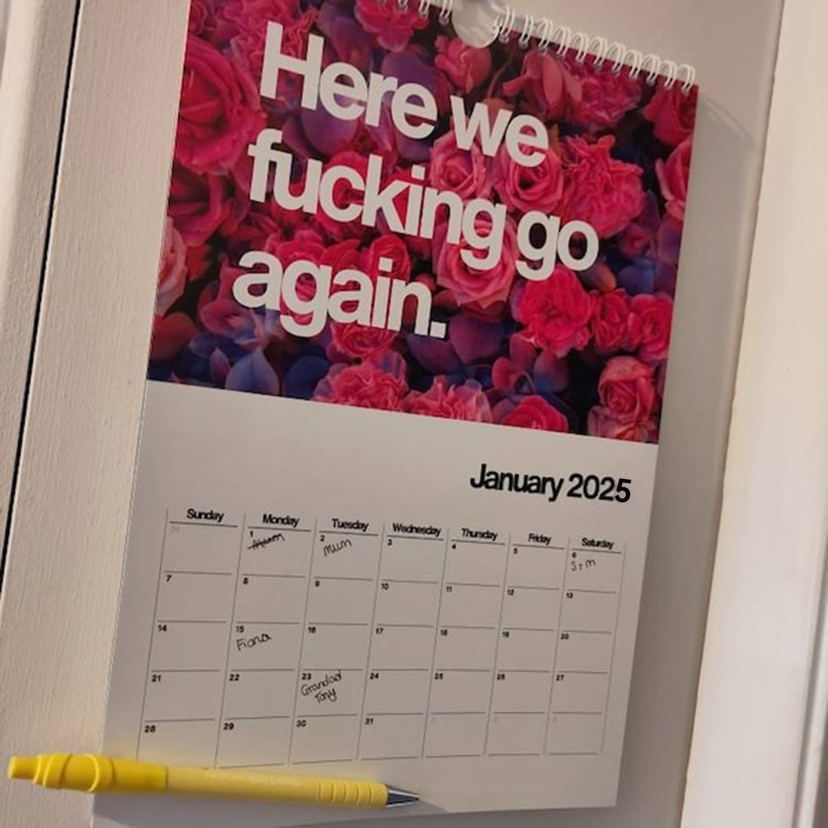 Funny Calendar 2025 For Women