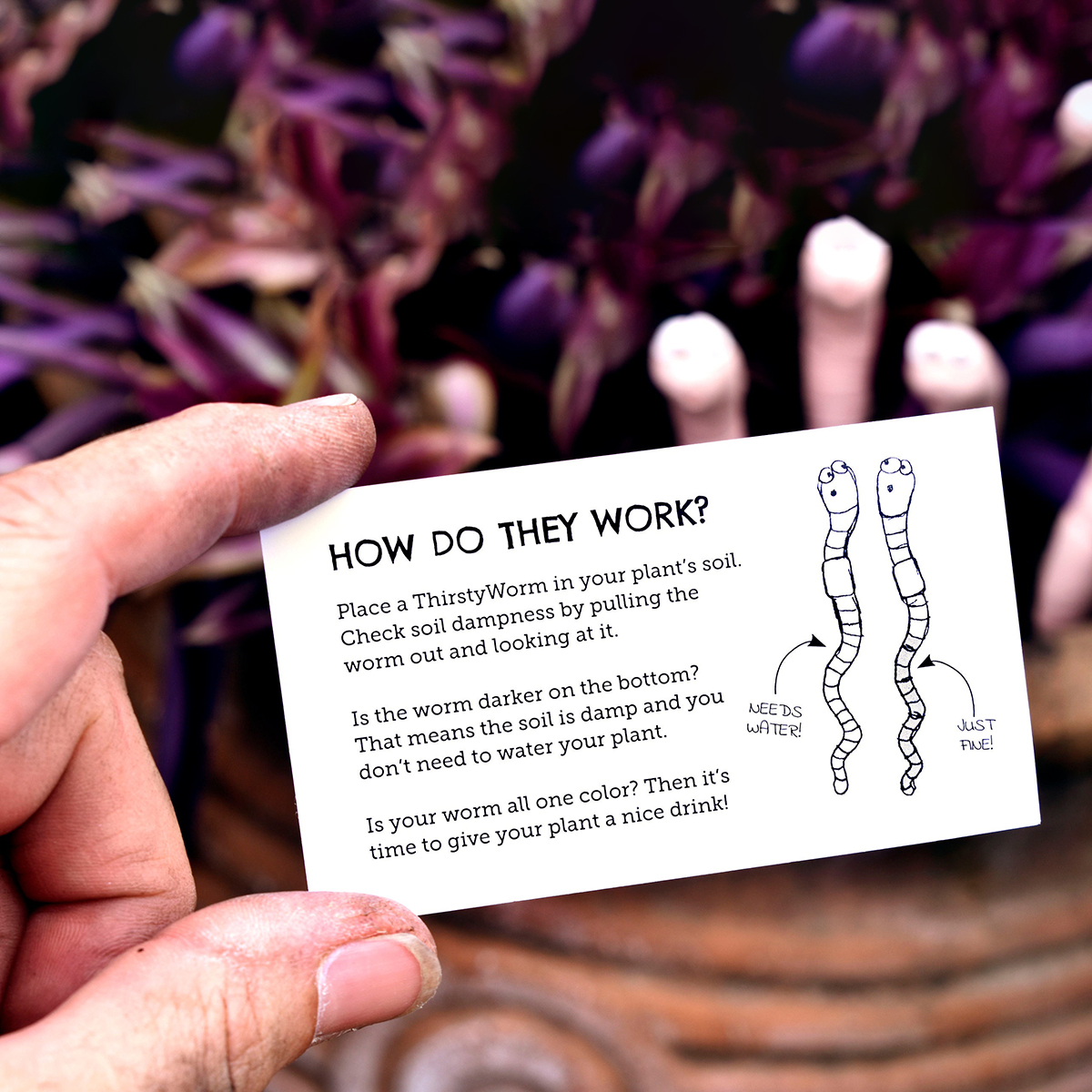 Thirsty Worm Moisture Monitor for Your Potted Plant (2-Pack)