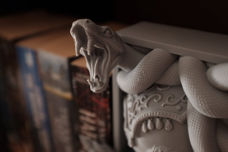 🐍Medusa Book nook