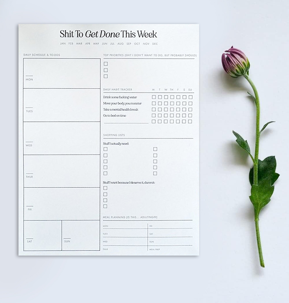 📝Funny Weekly Shit to Do Notepad Planner