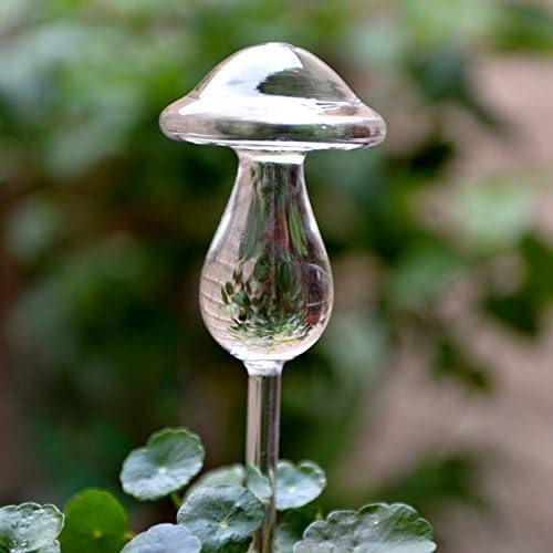 Glass Iridescent Self watering Mushroom Globe