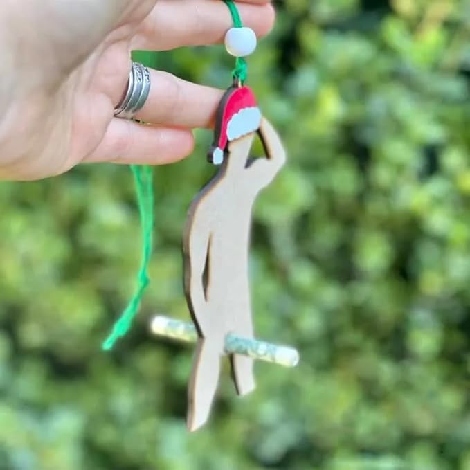 🔥Money Holder Stripper Ornament - Stay Off The Pole - Cash Gift Holder 🤣