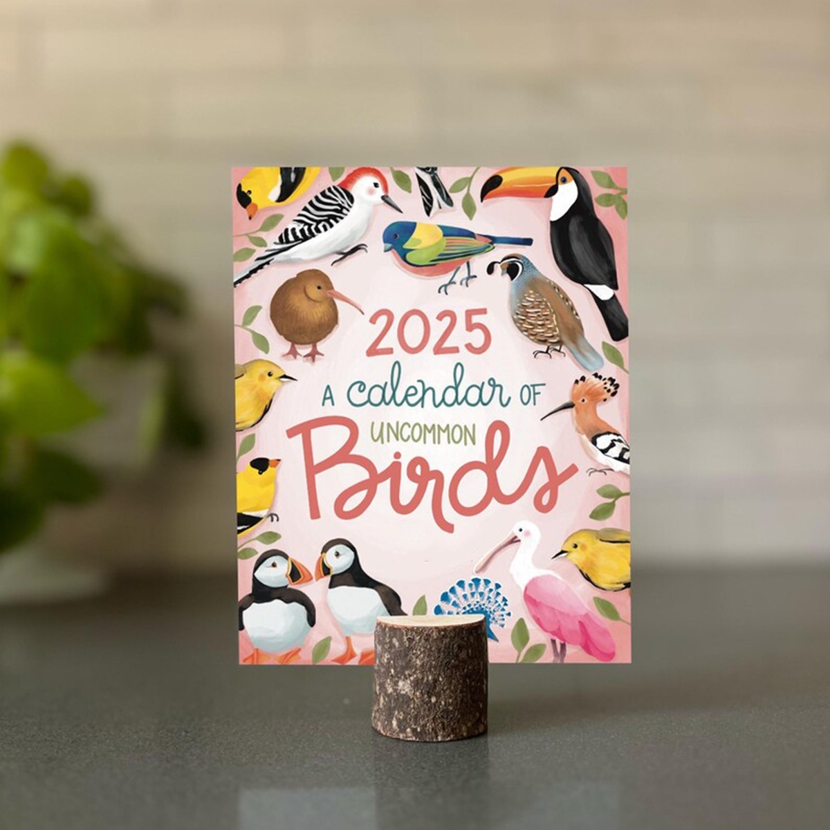🐦2025 Hand Drawn Bird-ThemedDesk Calendar