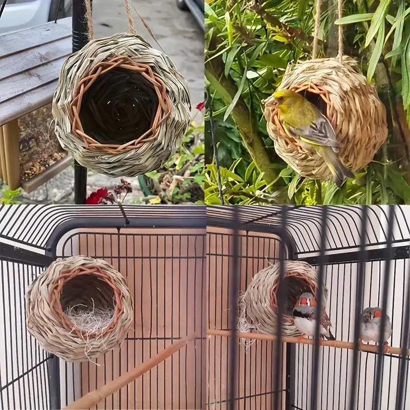 🐦🏠Hummingbird Feeding House-Gift for Nature Lovers