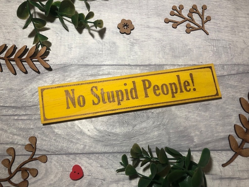 🤣Funny Wooden Sign - No Stupid People