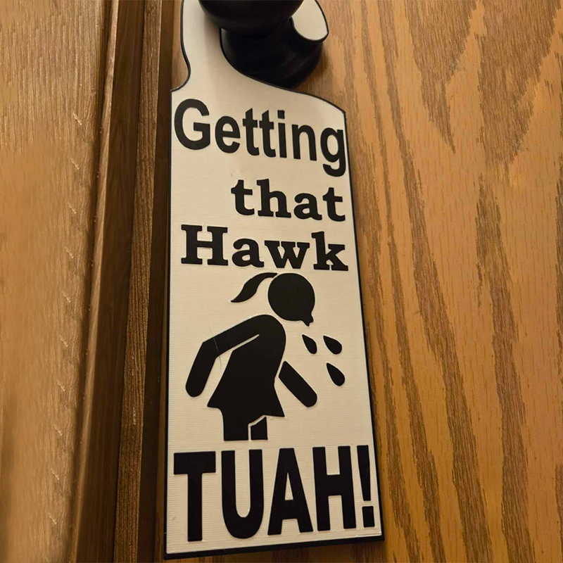 Hawk Tuah Door Sign