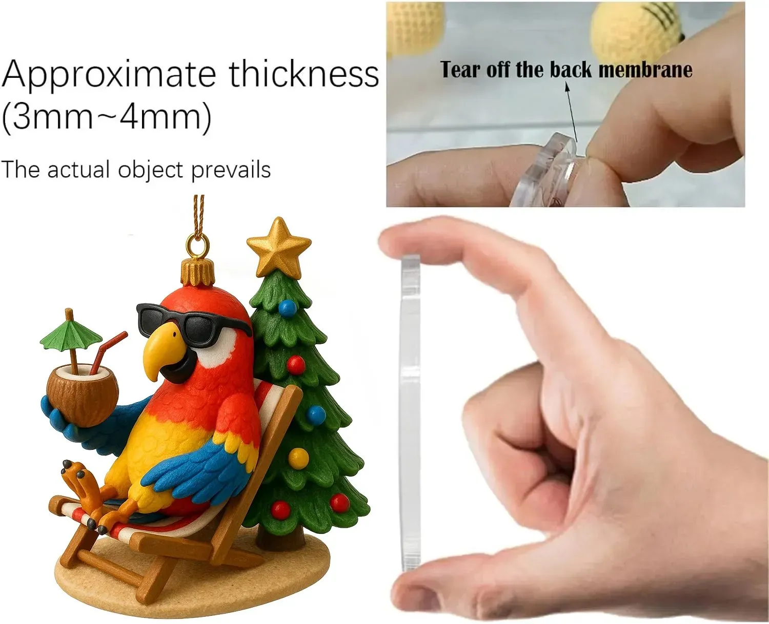 🦜2025 Bird Advent Calendar Collection 🐦🎄