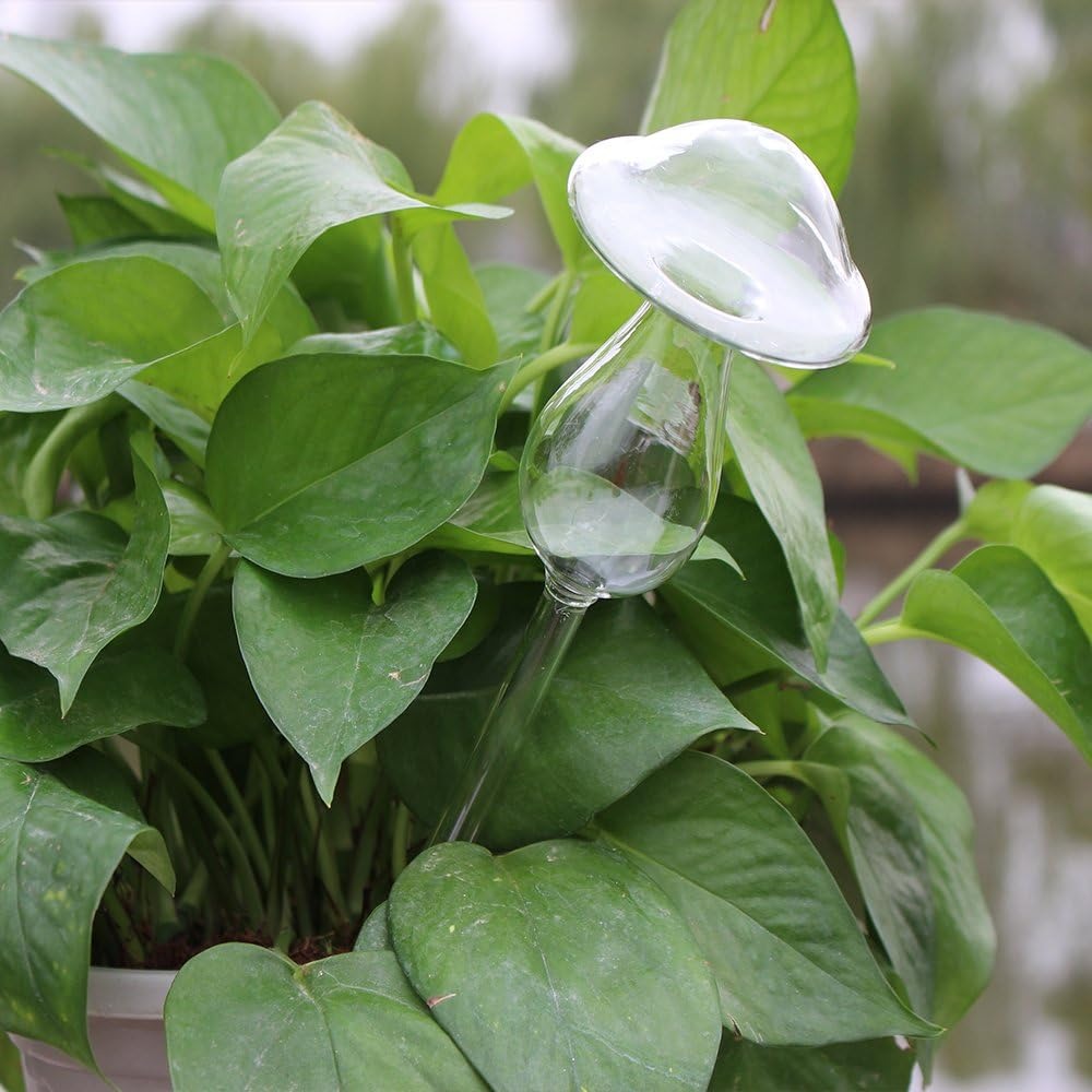 Glass Iridescent Self watering Mushroom Globe