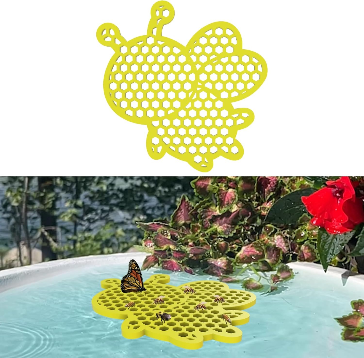 Bee Feeder, Bee Waterer