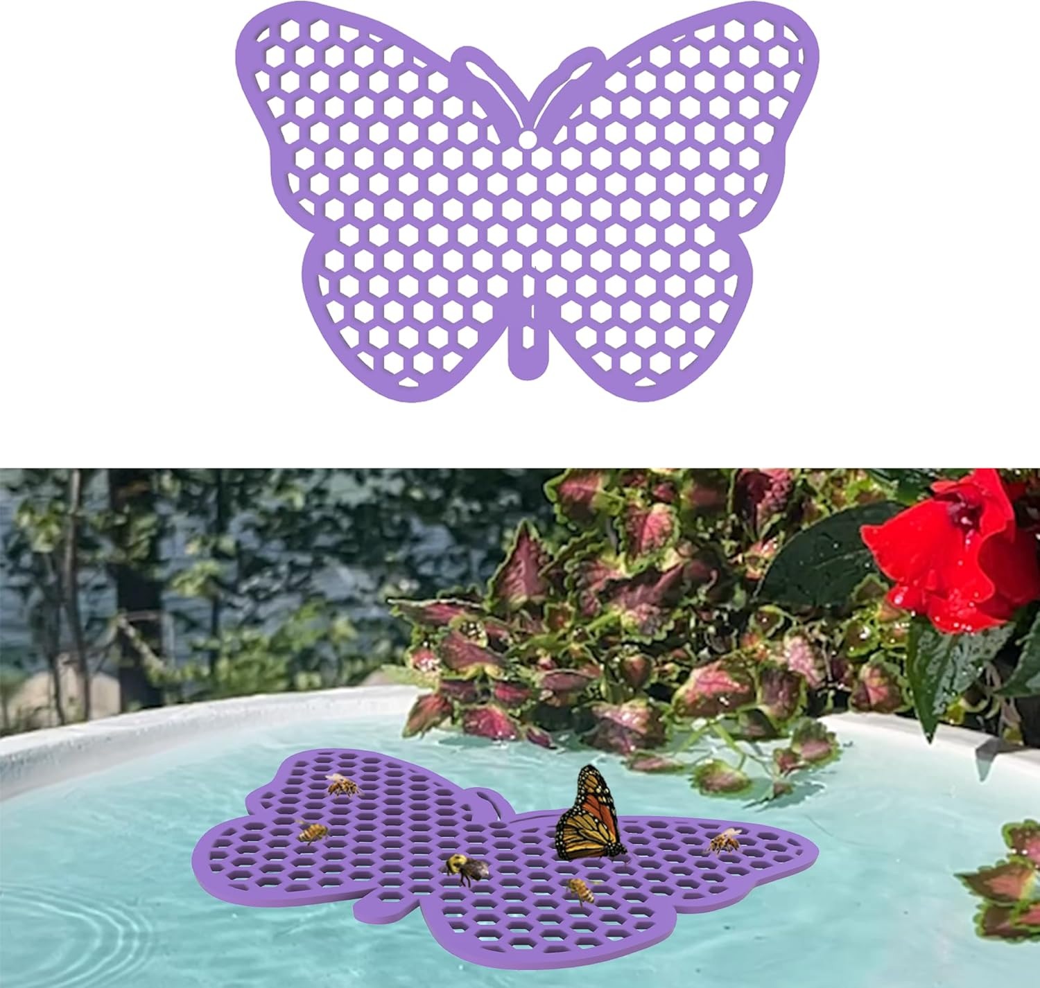 Bee Feeder, Bee Waterer