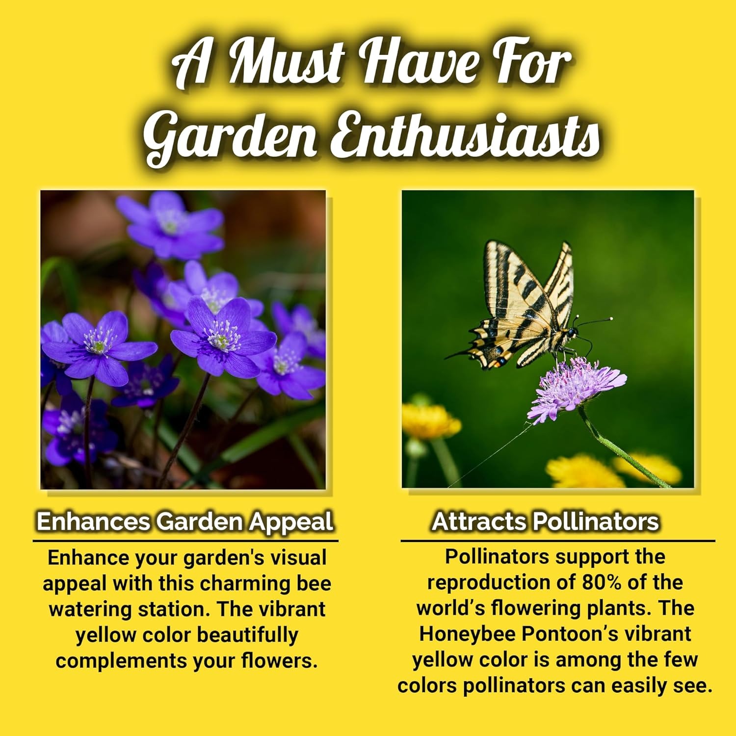 Bee Feeder, Bee Waterer