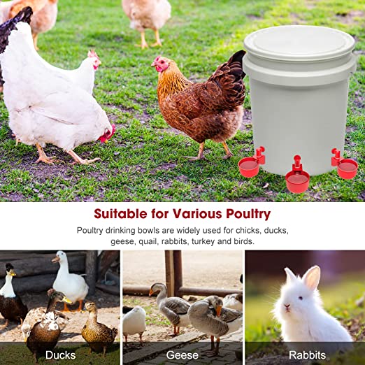 🔥Last Day 40% OFF🔥Automatic Chicken Water Cup Bird Coop