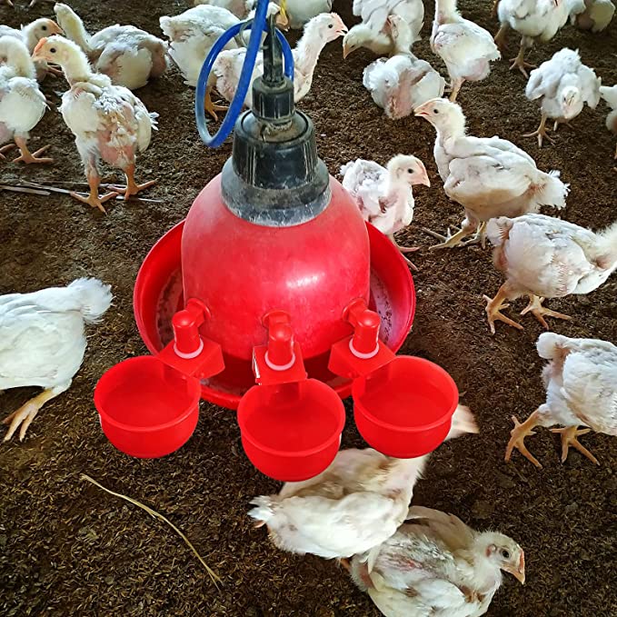 🔥Last Day 40% OFF🔥Automatic Chicken Water Cup Bird Coop
