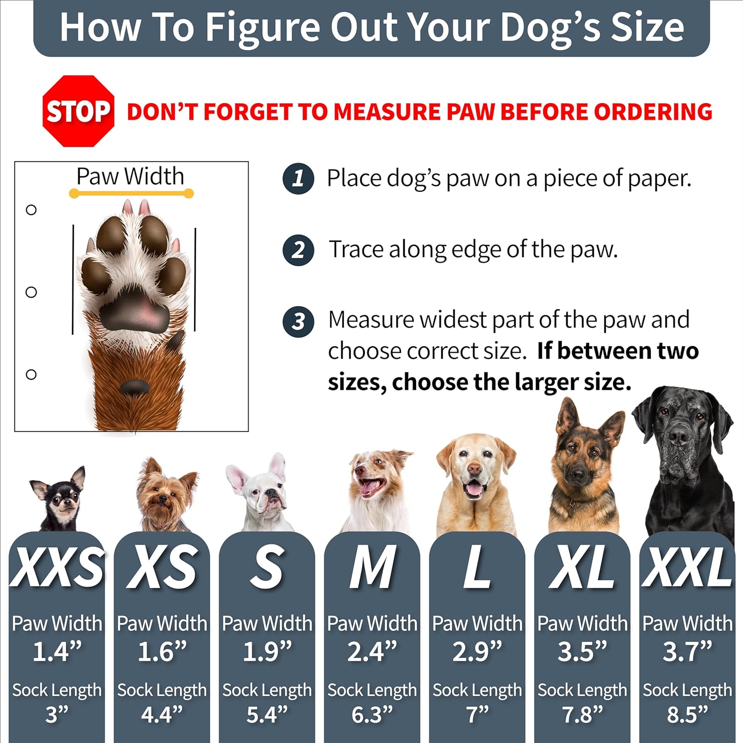 🐕Premium Non-Slip Dog Socks for Hardwood Floors