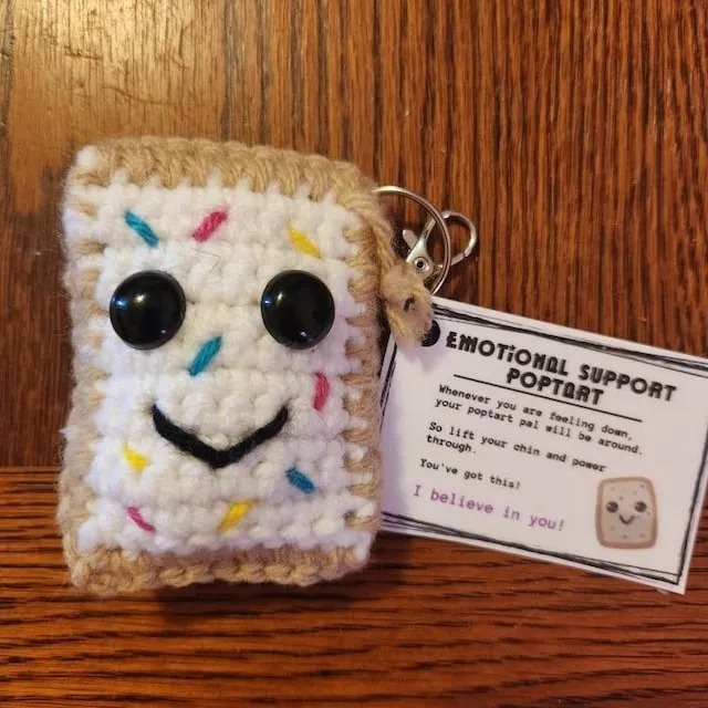 🔥🎁Emotional Support PopTart