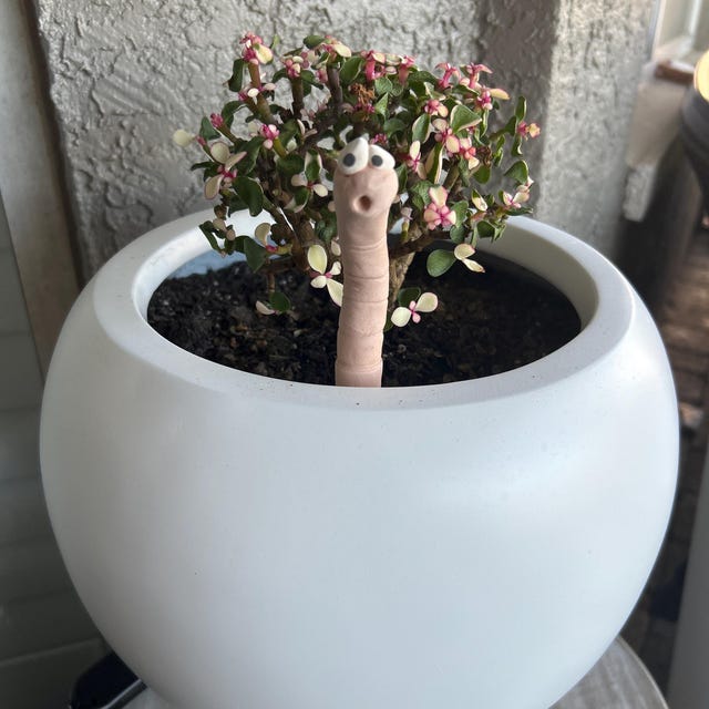 Thirsty Worm Moisture Monitor for Your Potted Plant (2-Pack)