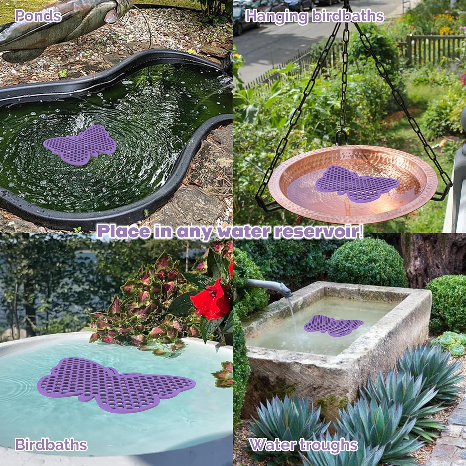 Bee Feeder, Bee Waterer