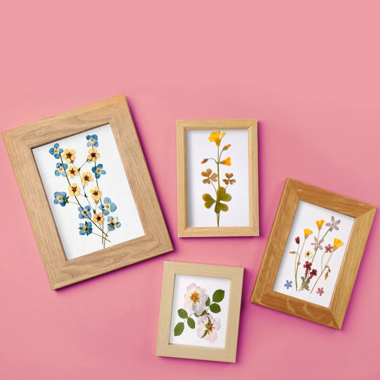 🌸Wooden Flower Press Kit - 🎁Great Gift For Arts and Crafts Lovers