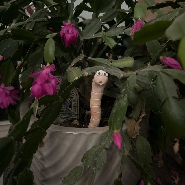 Thirsty Worm Moisture Monitor for Your Potted Plant (2-Pack)