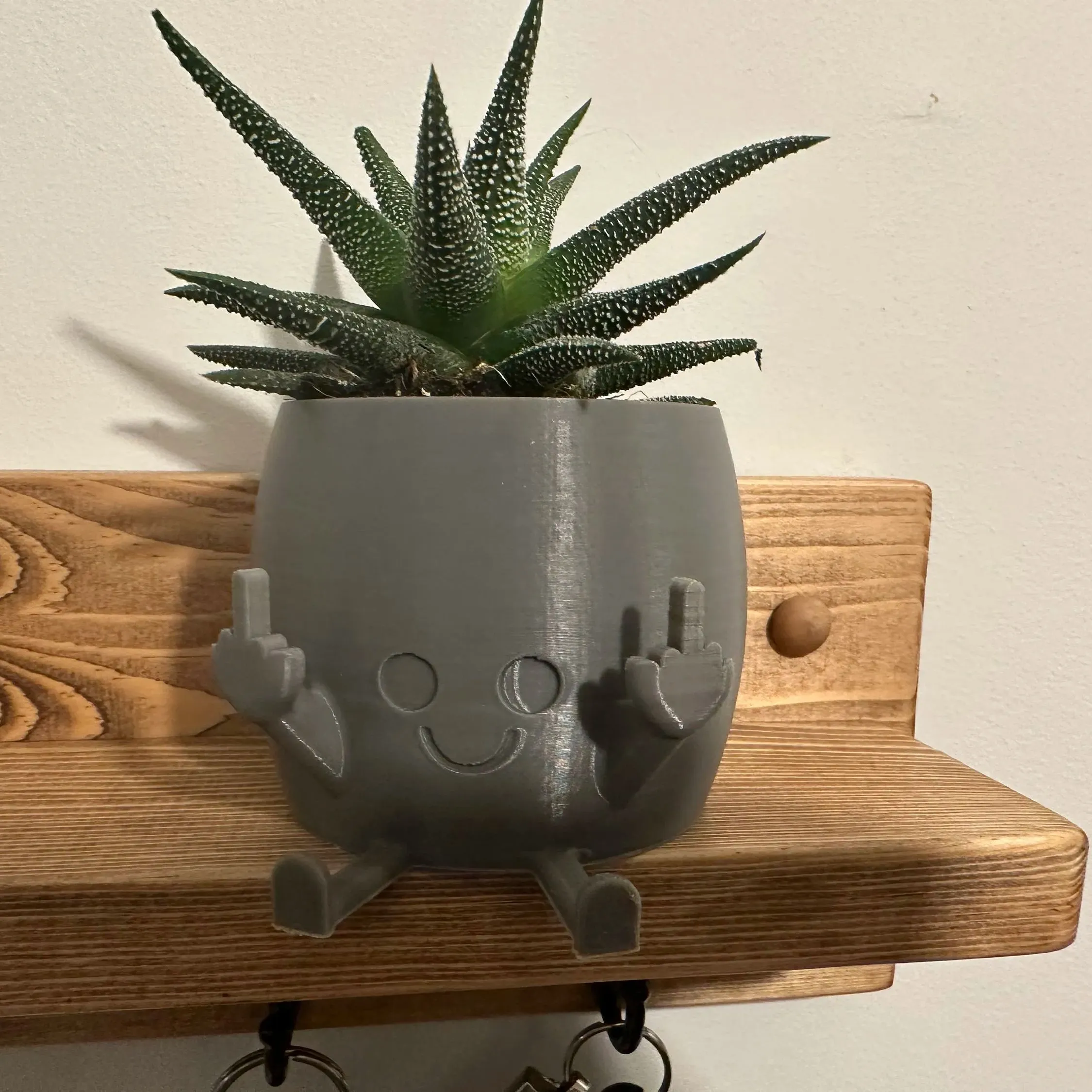 🤣SMILING PLANT POT WITH MIDDLE FINGERS UP