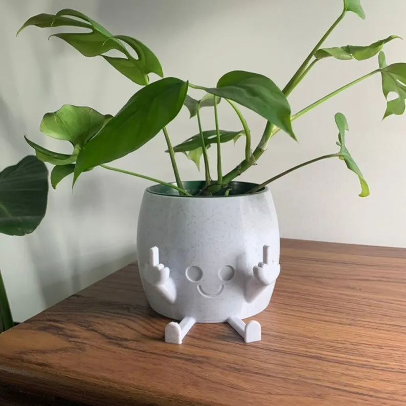 🤣SMILING PLANT POT WITH MIDDLE FINGERS UP