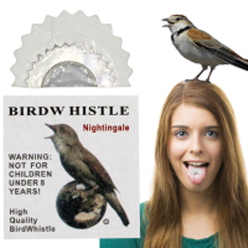 🎉Only $2.2/pcs🔥🐦Whistle like a REAL bird