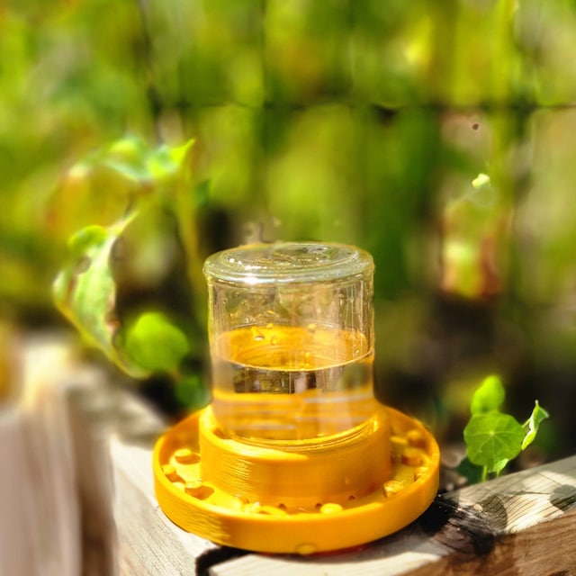 🐝BEE FEEDER FOR REGULAR MOUTH MASON JAR