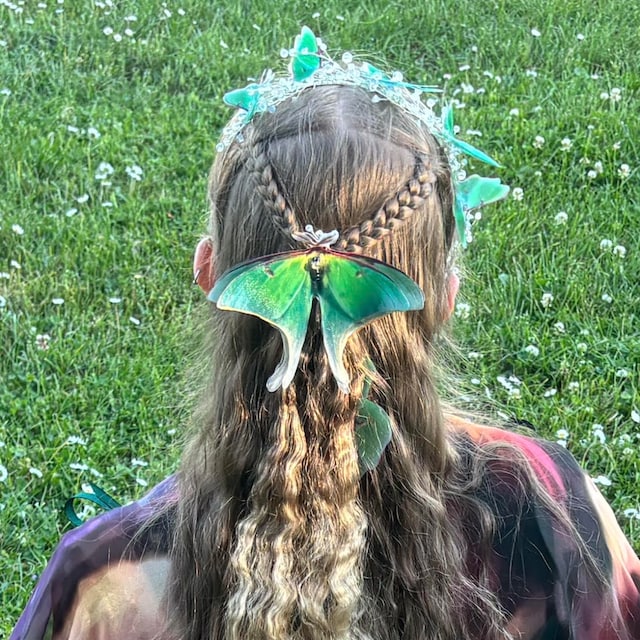 🦋Colored Moth Hair Clips