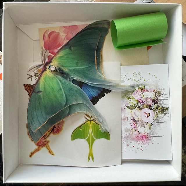 🦋Colored Moth Hair Clips