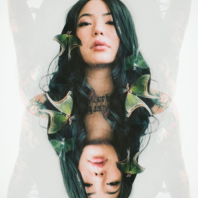 🦋Colored Moth Hair Clips