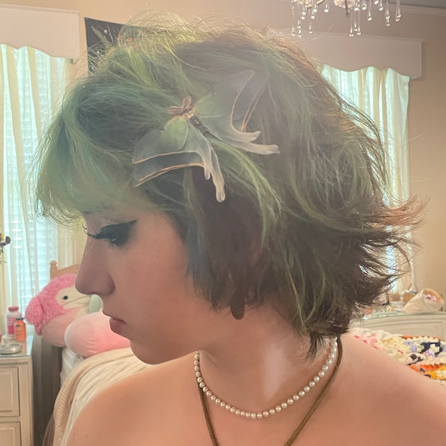 🦋Colored Moth Hair Clips