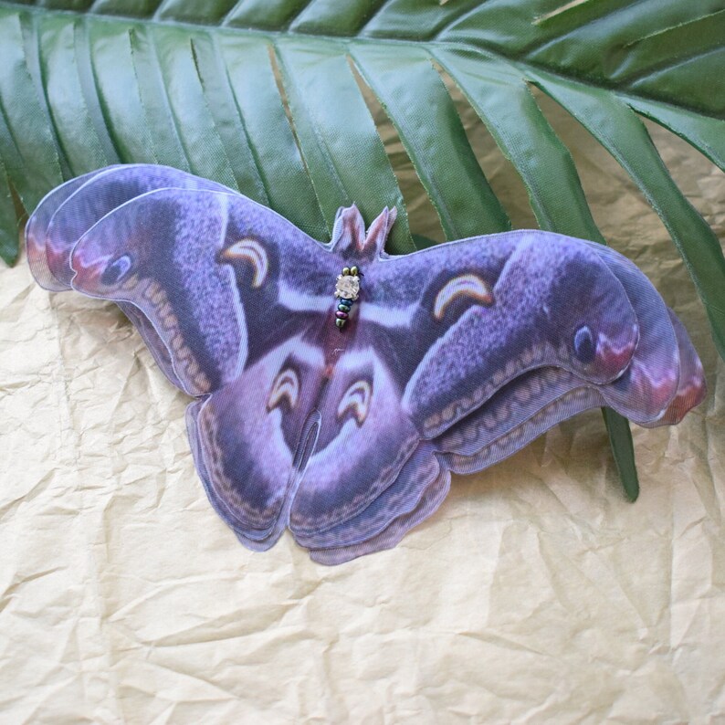 🦋Colored Moth Hair Clips