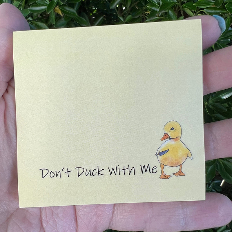 🤣Funny Sassy Duck Sticky Notes🎁