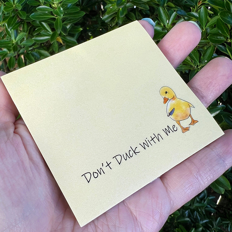 🤣Funny Sassy Duck Sticky Notes🎁