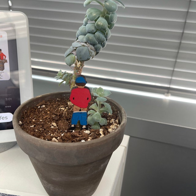 🤣Interesting Garden Stakes👀