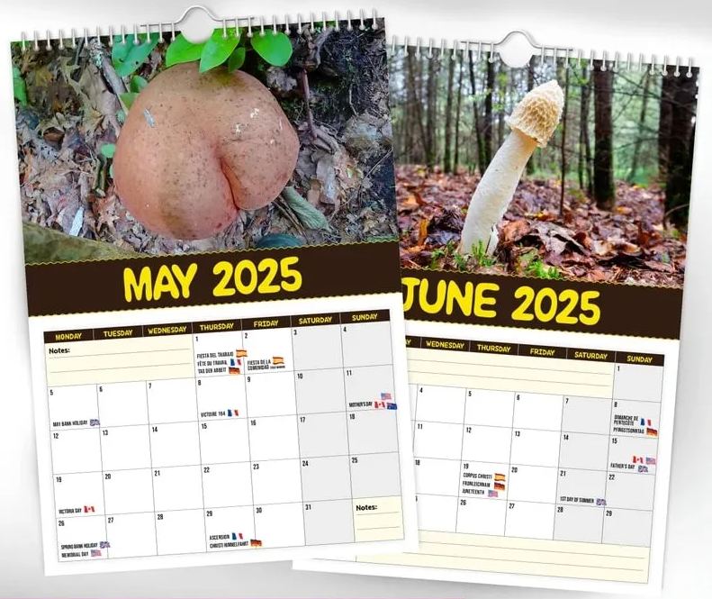 🍄World's Greatest Mushrooms 2025 Calendar👀
