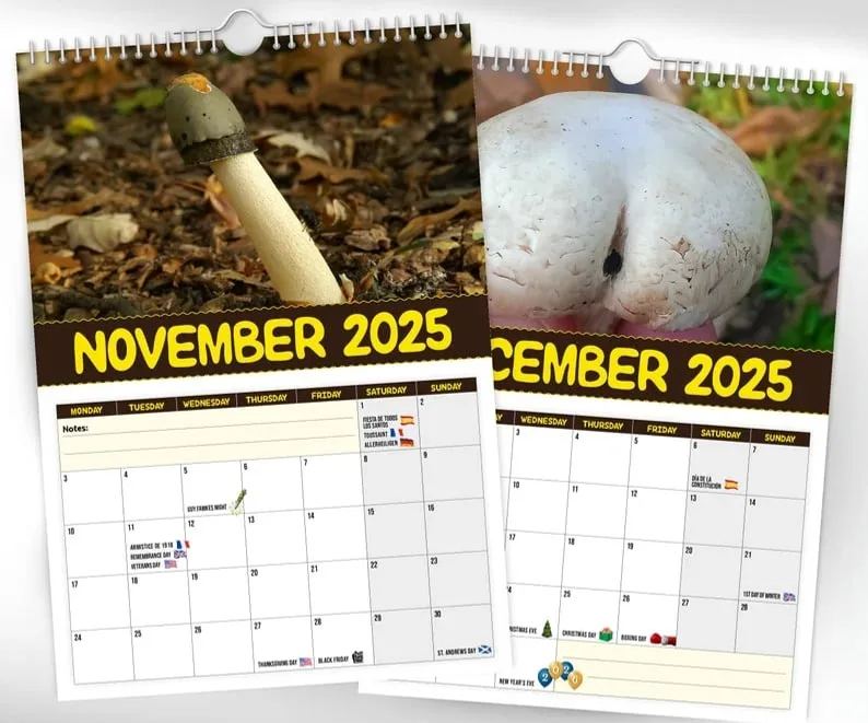 🍄World's Greatest Mushrooms 2025 Calendar👀