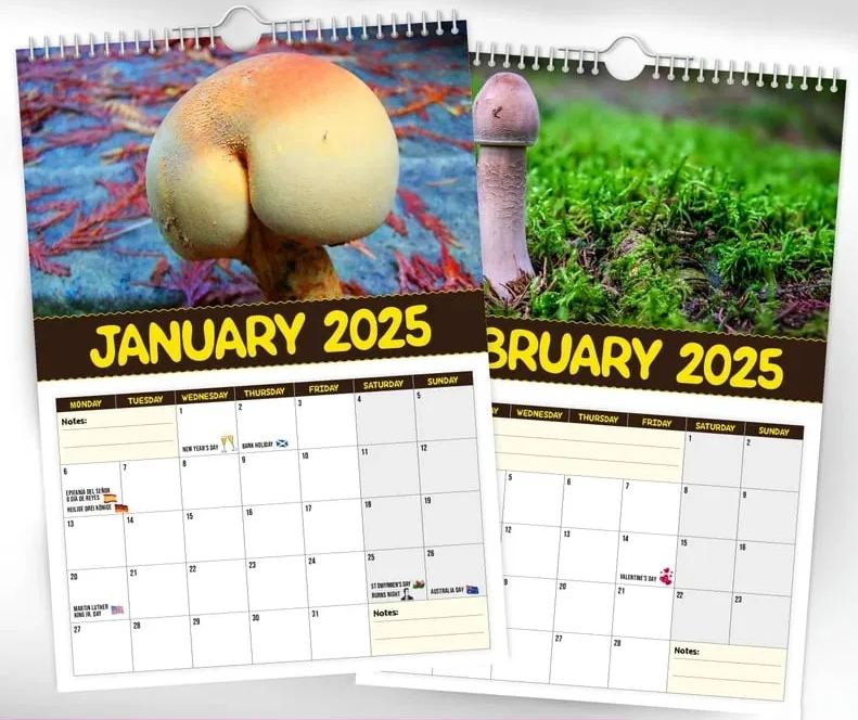 🍄World's Greatest Mushrooms 2025 Calendar👀