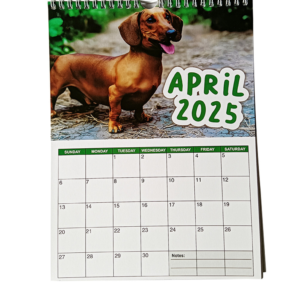 🦴🐶2025 Dachshund Wall Calendar