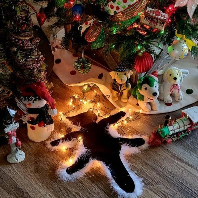 Fried Cat Faux Fur Trimmed Rug