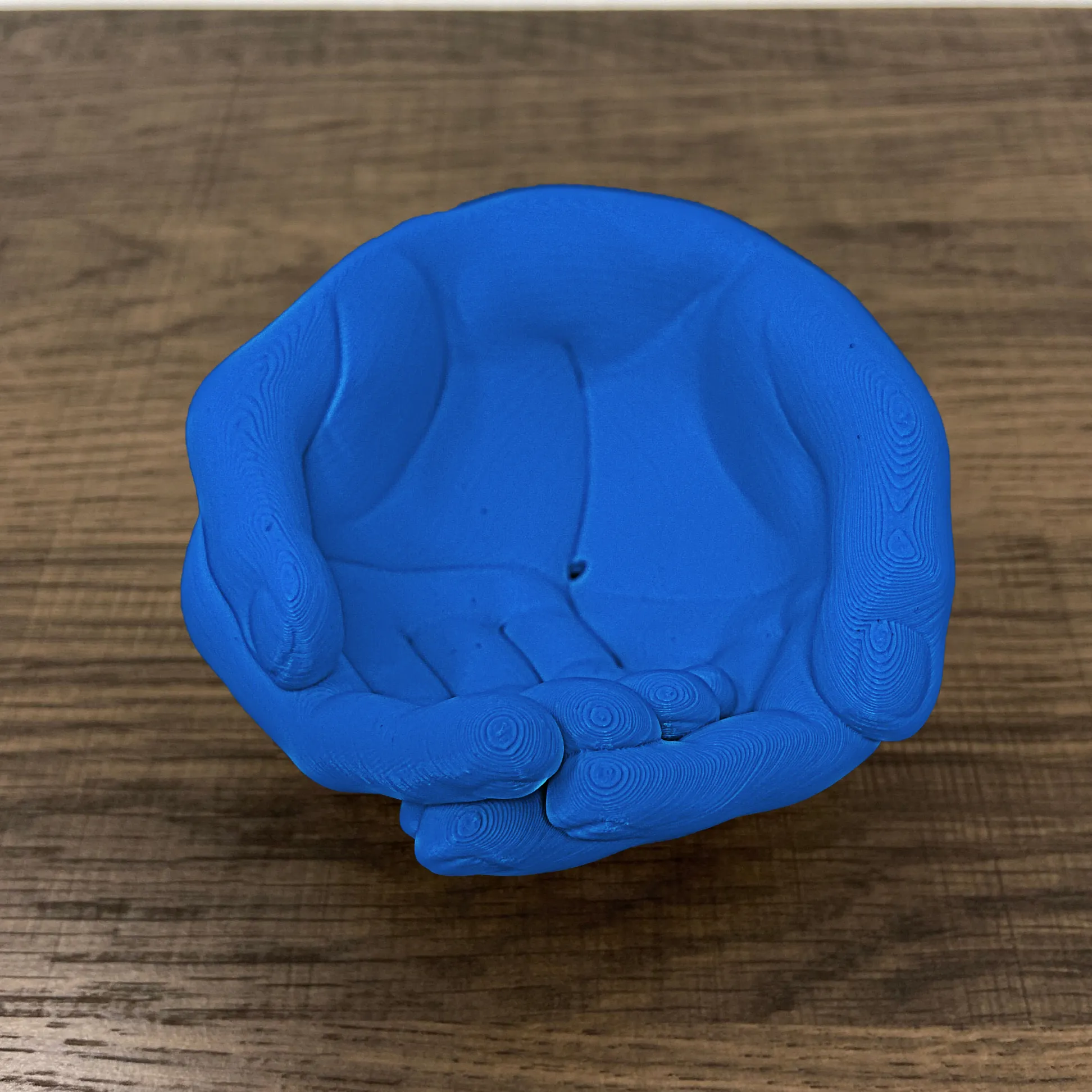 🌺Hands Planter Ornament