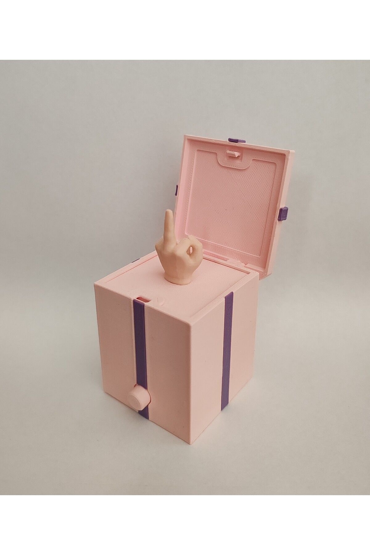 Surprise Gift Box (Middle Finger)