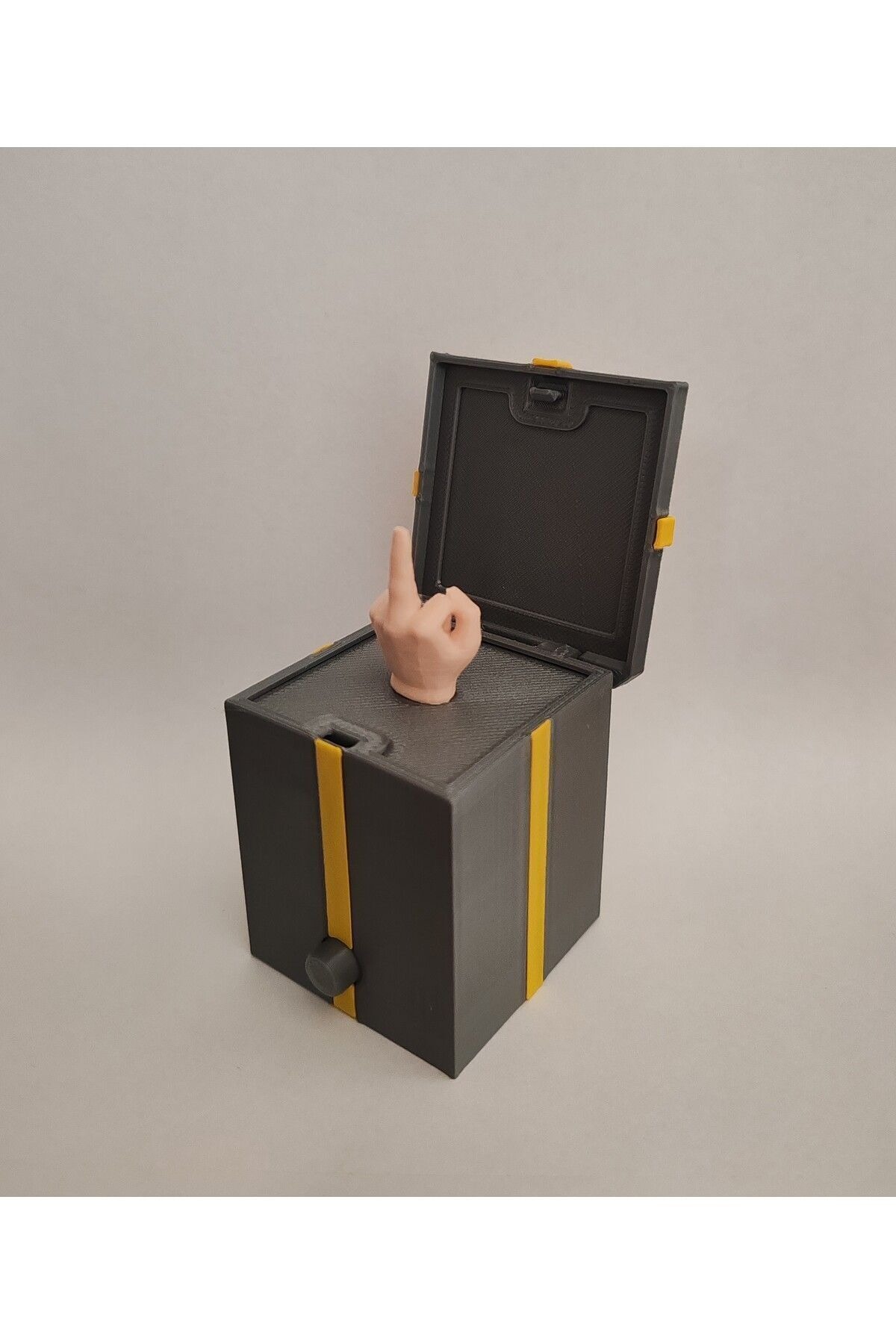 Surprise Gift Box (Middle Finger)