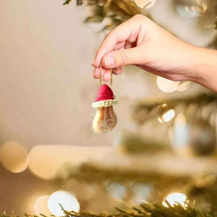 🤣Funny Egg Ornaments For Christmas