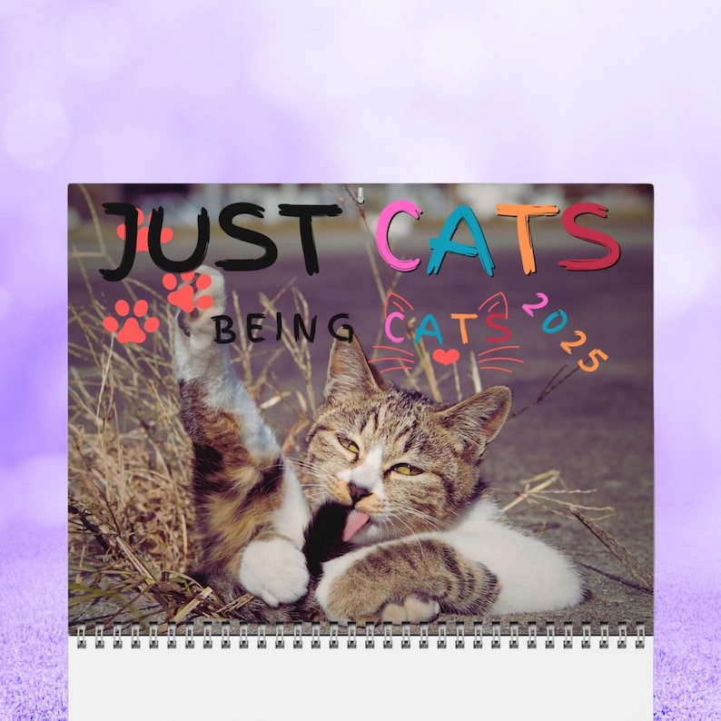 🐱Just Cats Being Cats Calendar 2025📅
