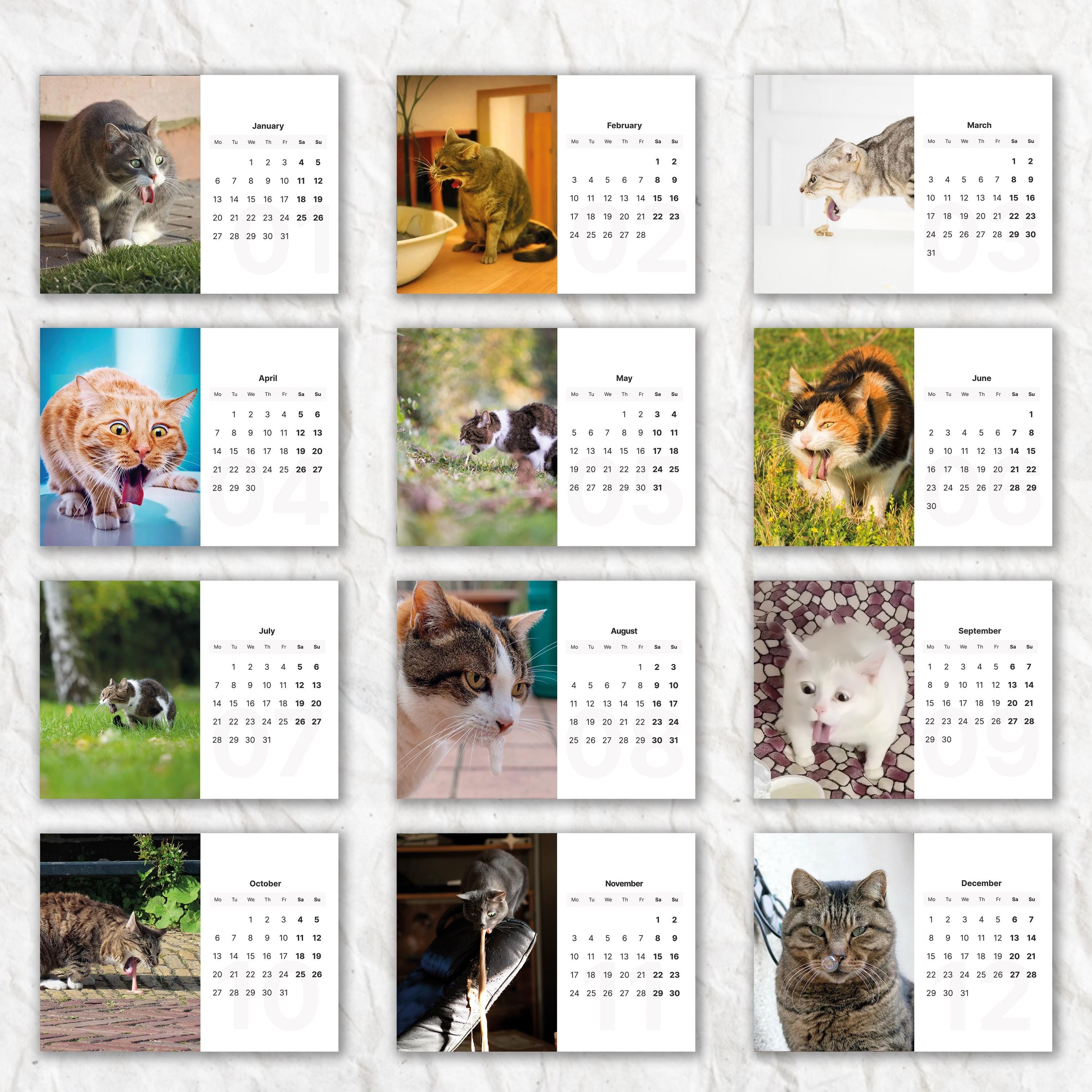 💥Last Day Promotion 50% Off - 😹Vomiting Cats 2025 Desk Calendar📅