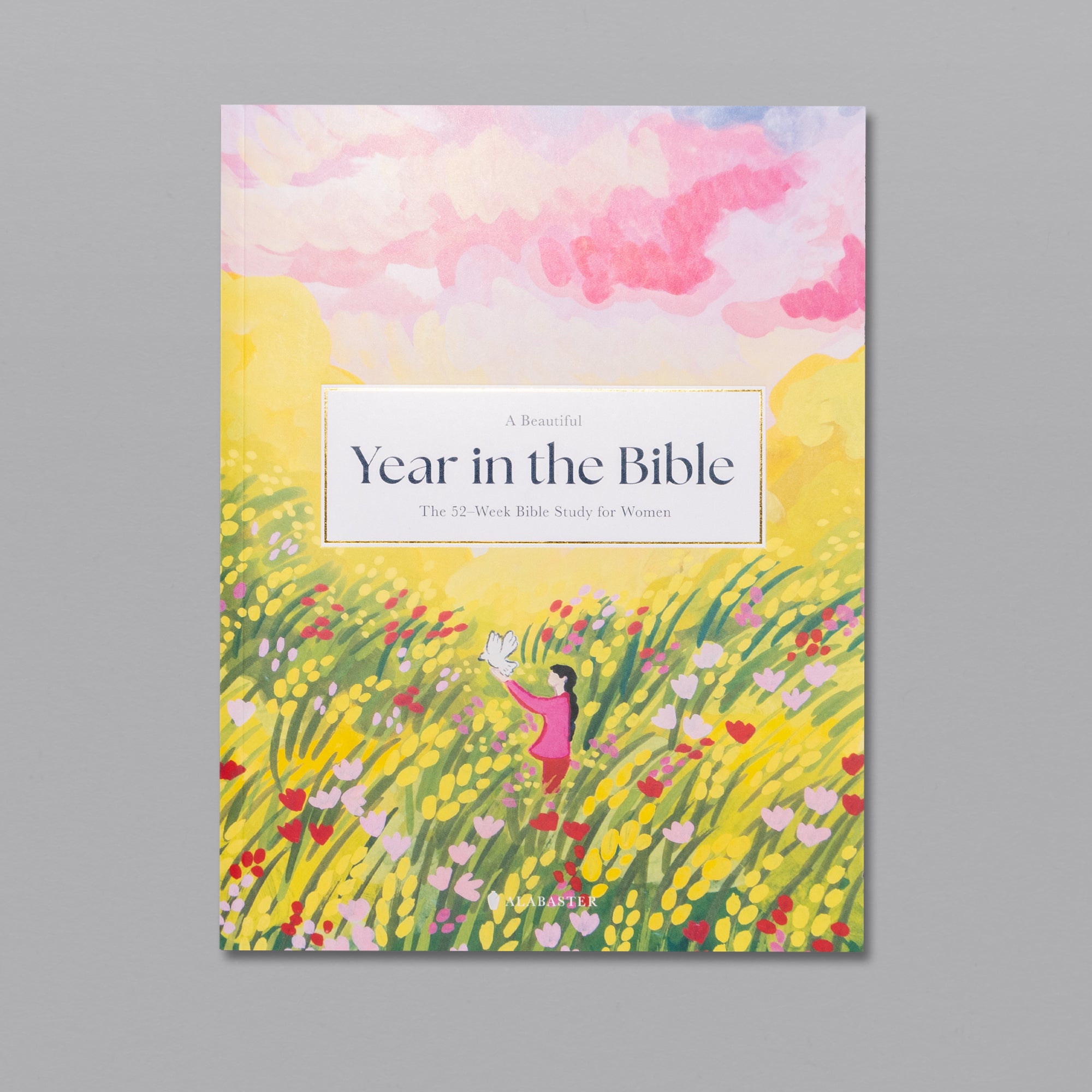 ✝A Beautiful Year in the Bible: The 52-Week Bible Study for Women