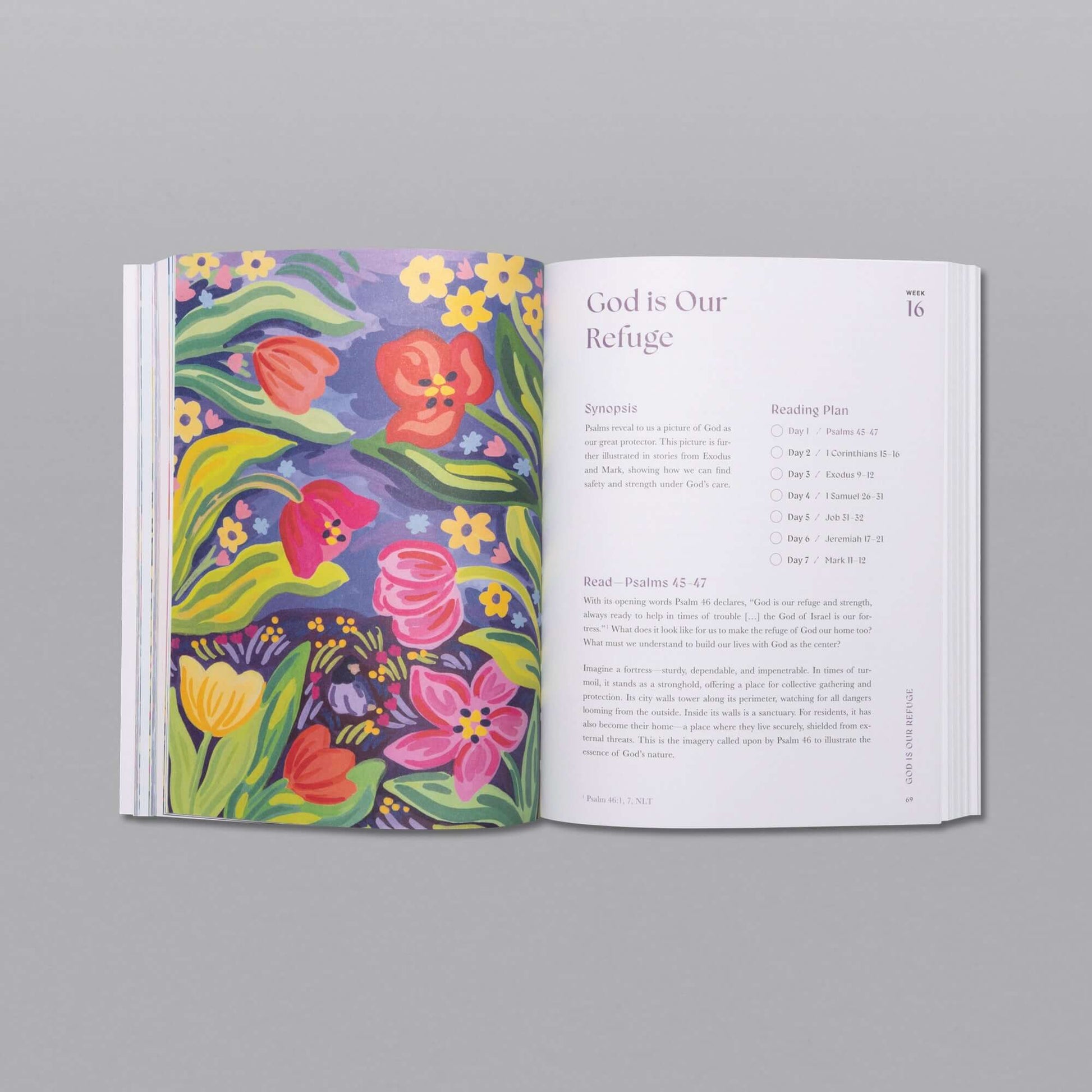 ✝A Beautiful Year in the Bible: The 52-Week Bible Study for Women